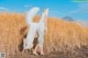 A woman in a white dress standing in a field of wheat.